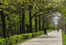 Алматы накроют дожди и грозы после сильной жары