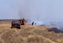 Пожарные потушили более 270 гектаров сухой травы в Акмолинской области