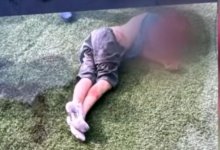 В Каскелене судят владельца собак, едва не загрызших 11-летнего мальчика