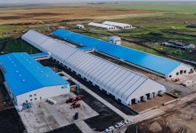 Ферму с крупнейшей в Центральной Азии доильной установкой открыли в СКО