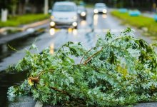 Тысячи жителей Усть-Каменогорска остаются без света из-за непогоды