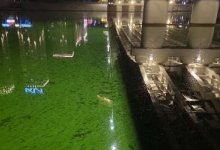 Ядовито-зеленая вода в Есиле напугала астанчан