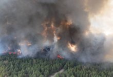 Минэкологии сообщает о двух лесных пожарах в Казахстане
