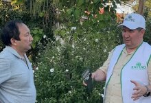 Запах стоит постоянно: жители Шымкента пожаловались кандидату “Байтақ” на невыносимую проблему