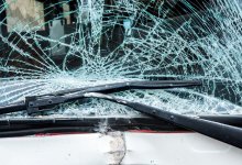 Пьяный водитель BMW врезался в дерево в Жамбылской области