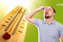 Жара усилится: температура воздуха поднимется до +40 градусов в Шымкенте