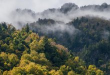 Шесть лесных пожаров вспыхнули в Казахстане за сутки