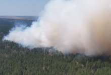 Горела Акмолинская область: в регионе за сутки ликвидировали сразу три лесных пожара