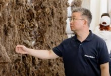 Respublica обсудила переработку шерсти на предприятии KazFeltec в Актобе