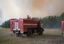 Огонь в "Бурабае" и "Семей орманы": Минэкологии сообщило о ситуации в лесах