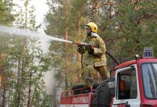 Более 1,3 тысячи гектаров огня: что происходит с природными пожарами в Карагандинской области