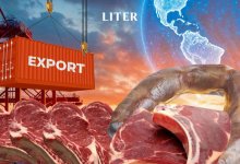 Казахстан выводит конину на мировой рынок: предложен стандарт ISO