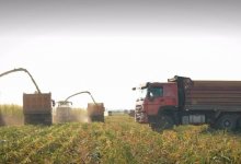 С аграриями встретился председатель  партии "Ауыл" в Туркестанской области