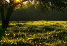 От сильных ливней до +38°С: погода в Казахстане на 22 августа