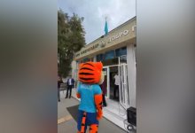 Балхашский тигр Туран отдал свой голос на избирательном участке в Алматы (ВИДЕО)