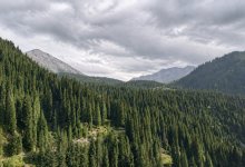 В Алматы ночью похолодает до +11 градусов