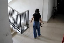 Кошку сбросили с пятого этажа в Актау