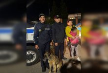 Служебная собака нашла пропавшую девочку с РАС в Астане