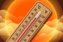 Лето не сдается: Шымкент прогреется до +30 °C