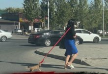 Котенка тащили по улице за веревку в Астане