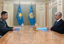 Президент Казахстана принял нового главу МЧС