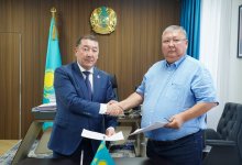 В приоритете – восстановление лесов