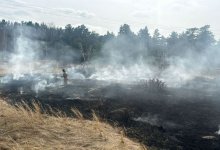 Более 5 га в огне: что произошло за сутки в Акмолинской области (ВИДЕО)