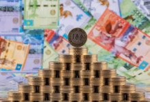 Разыскиваемую главу финпирамиды The Finiko доставили из Турции в Казахстан