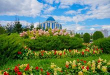 Зеленый каркас будущего