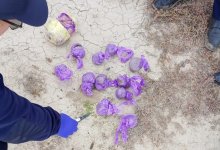 Гвардеец сорвал доставку наркотиков с помощью дрона в Атырау