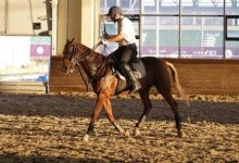 Клуб национальных видов конного спорта открылся в Астане