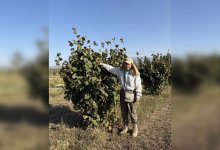 Ореховый сентябрь