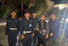Ребенок потерялся в парке Жанаозена
