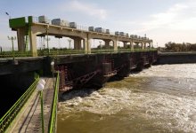 "Казводхоз" спасает озера и пастбища на юге Казахстана