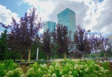 До +25 °С и без осадков: чем порадует погода жителей Астаны