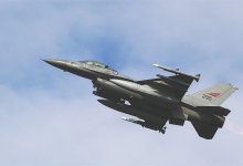 Истребитель разбился после столкновения с птицей в США