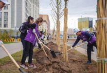 От новых деревьев до цифрового контроля: как "Әділет" поддерживает "Таза Қазақстан"
