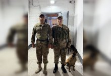 Собака Айза помешала водителю "Газели" провезти вещество в колонию под Аршалы