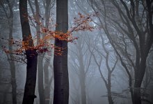 Дожди с грозами пройдут в ряде регионов Казахстана 23 сентября