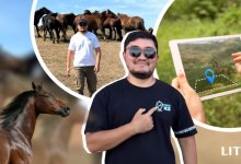 Следить за табуном со смартфона: как работает казахстанский iGps