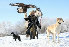 Жеті қазына Нурдаулета
