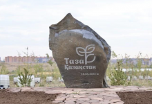 Будущее пустило корни