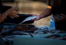 Где в Казахстане едят больше всего рыбы