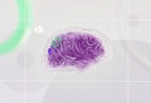 Австралия заявила о взломе правительственного сайта ИИ-агентом от OpenAI