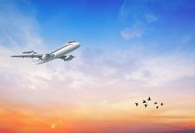 Удар с неба: в аэропорту Астаны рассказали о столкновениях самолетов с птицами