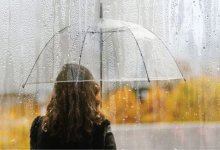 Дожди, грозы и усиление ветра прогнозируют в Шымкенте