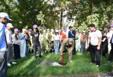За безопасность и комфорт
