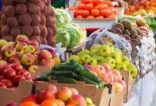 Фермеры из двух областей привезут в Астану более 400 тонн продуктов