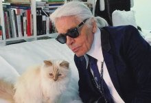 Спустя семь лет раскрыта тайна завещания Лагерфельда: кошка Чупетт не получит миллионы