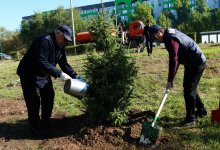 Чистота начинается с ответственности
